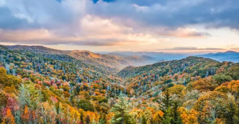 This Quiet Tennessee Town in the Smokies Is Full of Charm, Orchards, and Scenic Views