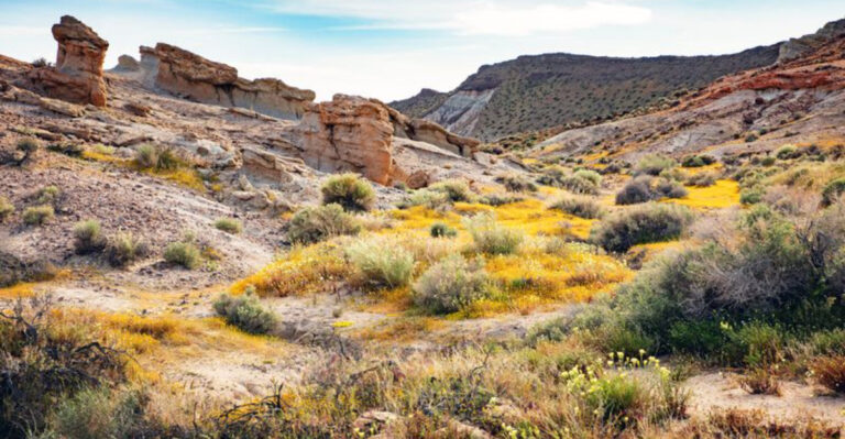 This Quirky Town On The Nevada-Utah Border Is The Perfect Base For Exploring National Parks