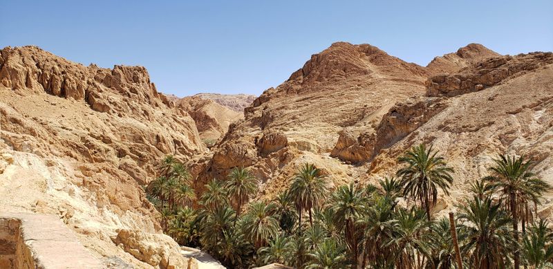 Tozeur, Tunisia