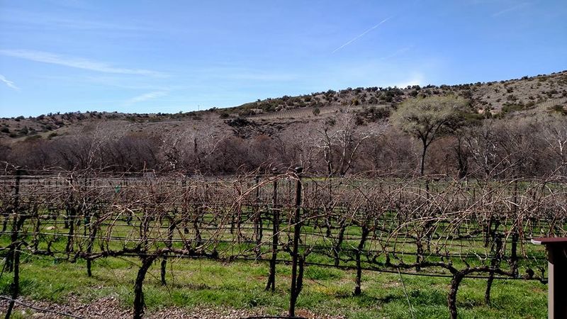 Page Springs Cellars