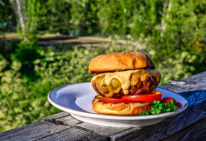 Bison Burger