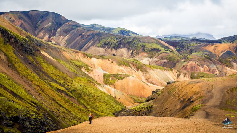 Icelandic Highlands: Nature's Untamed Heart (stuns beyond words)