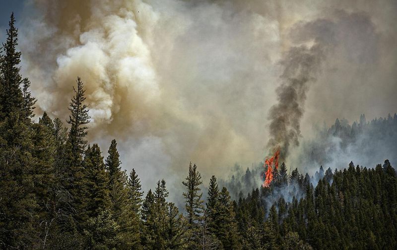 Risk Of Wildfires In Summer Months