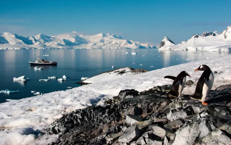 Cruise Among Icebergs and Penguins in Antarctica