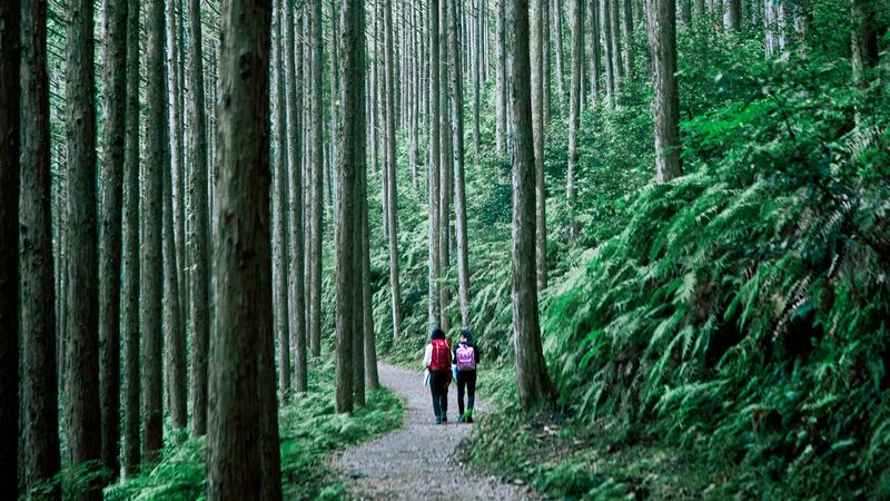 Walking Japan's Ancient Kumano Kodo Pilgrimage