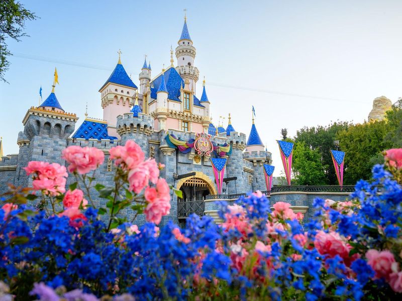 Expecting A Full Disney Experience Without Entering The Parks