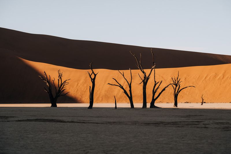 Namib Desert, Namibia: Ancient Sands Meet Atlantic Fog (stuns beyond words)