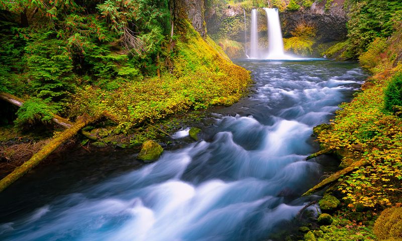Koosah Falls - McKenzie River's Powerful Plunge