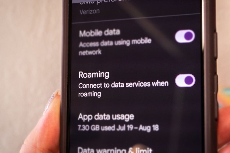 Data Roaming and Wi-Fi Charges