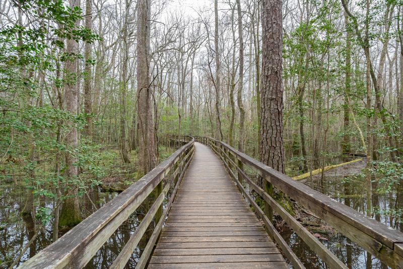 Secluded Nature Sanctuaries