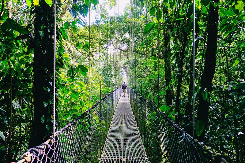 Costa Rica's Digital Health Pass Evolution