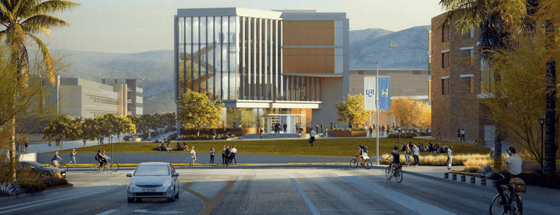 UC Riverside Felt Flat (Strip Mall Vibe)