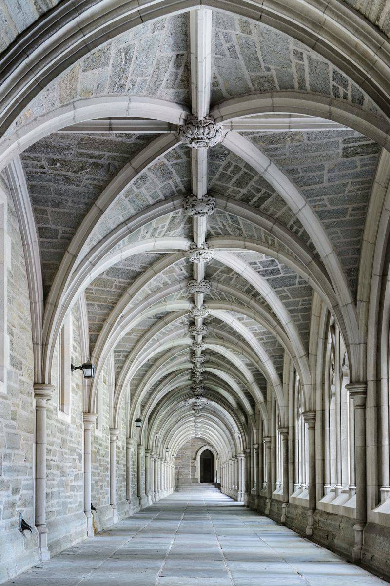 Princeton's Ivy Dream