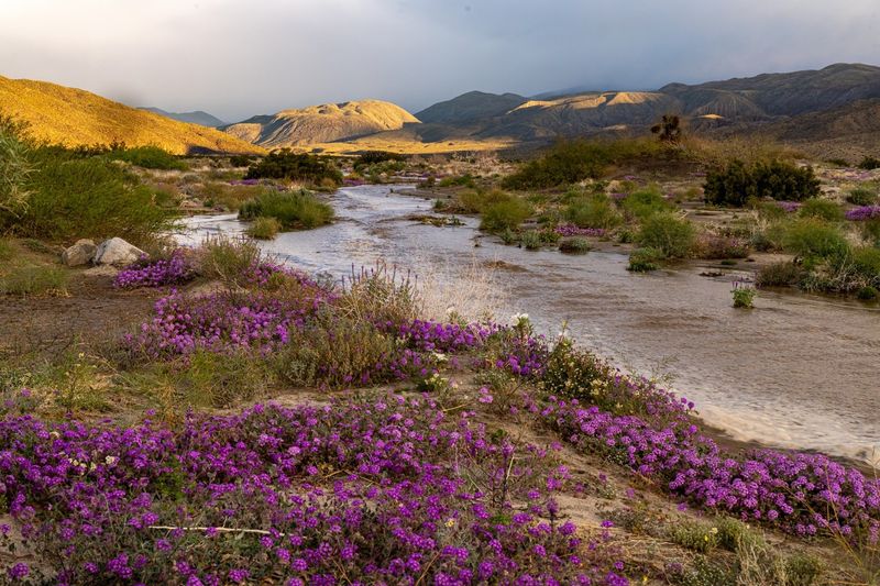 California's Endless Variety