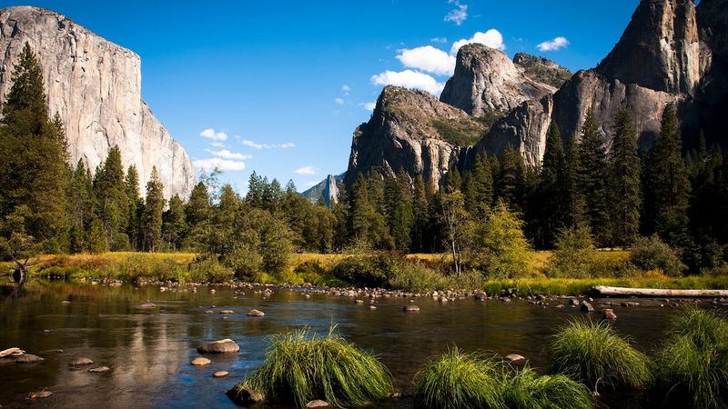 California: Something for Everyone