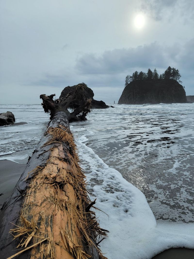 Second Beach, Washington