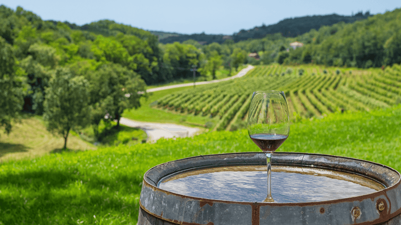 World-Class Wines You've Never Heard Of