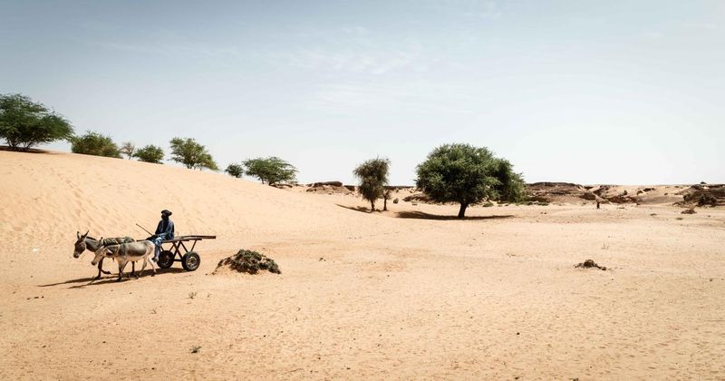 Mali: Desert Insecurity