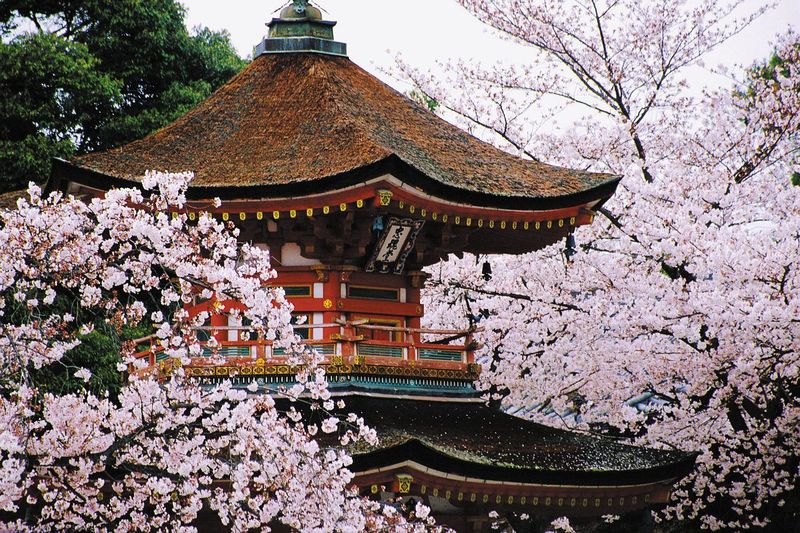Kyoto, Japan