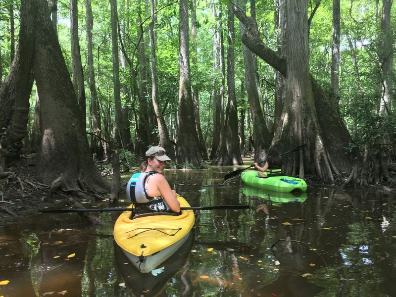 Paddle Through An Immersive Swamp Wilderness