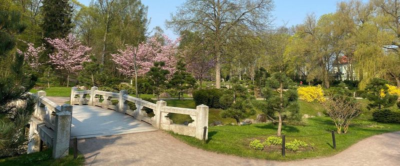 Kadriorg Park's Japanese Garden