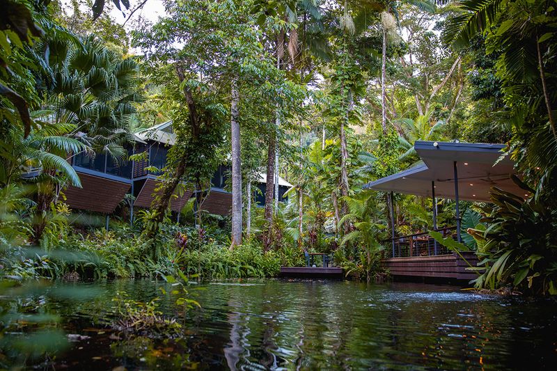 Daintree Rainforest Ecolodges, Australia
