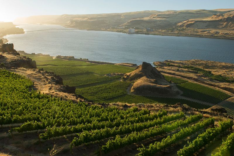 Columbia Gorge Waterfall and Wine Tour