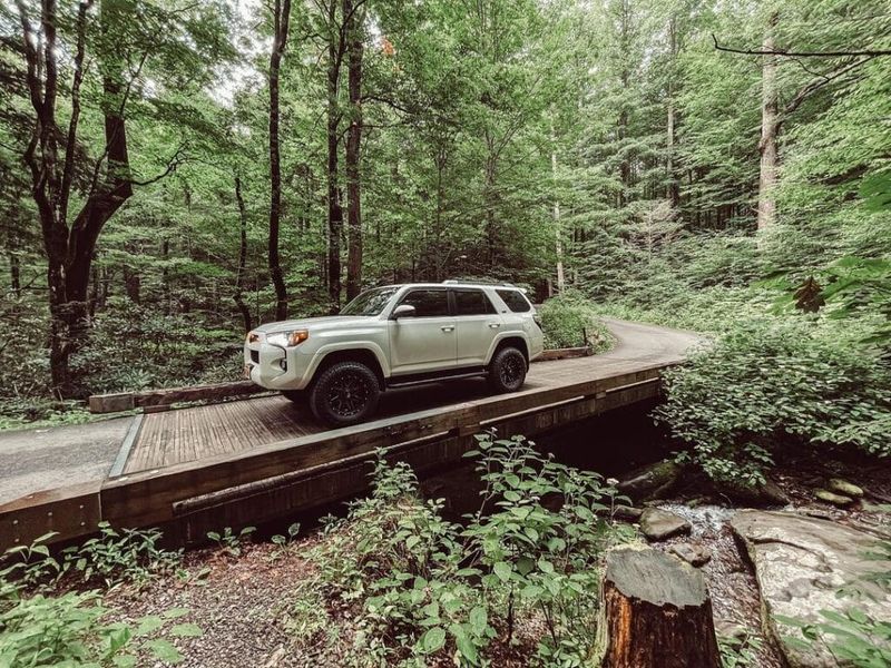 Drive the Roaring Fork Motor Trail