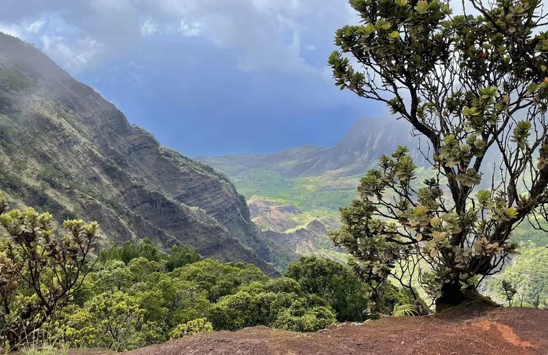 Explore Kōke'e State Park