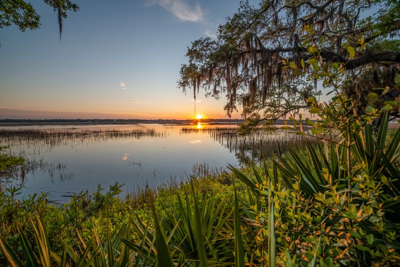 Explore Nearby Nature Trails Or Marsh Walks