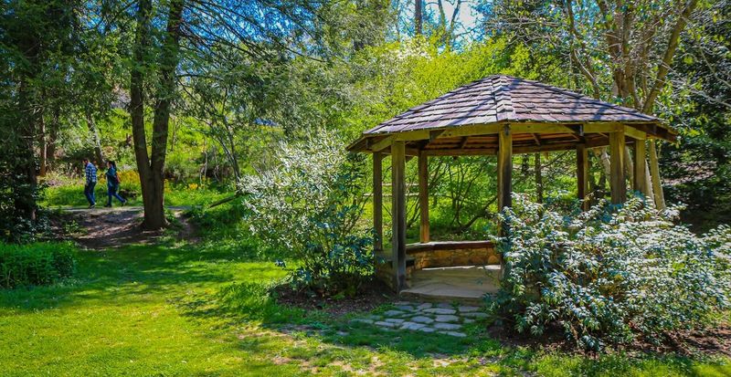 Wander The Botanical Gardens At UNC Asheville