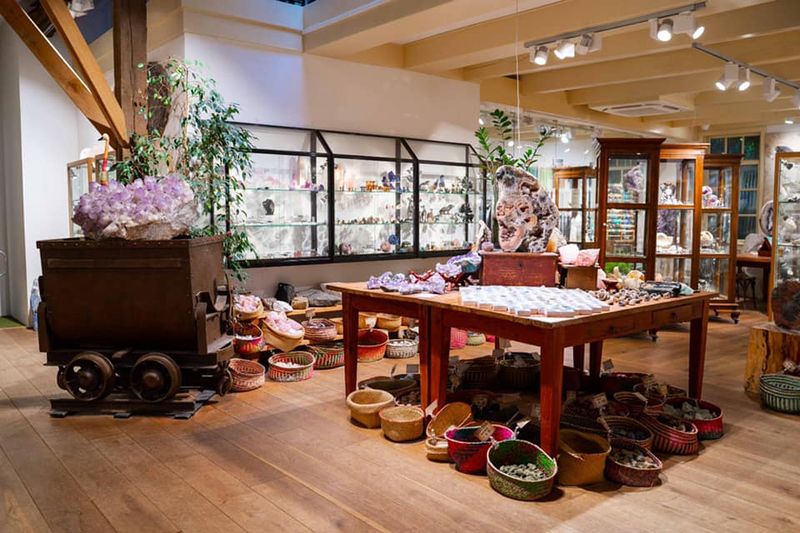 Step Back In Time At Museum De Oude Aarde (The Old Earth)
