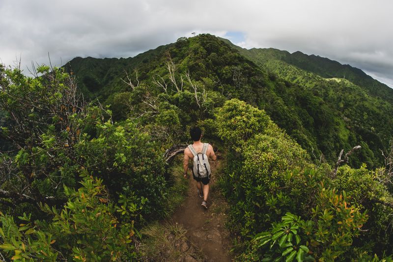 Wa'ahila Ridge Trail