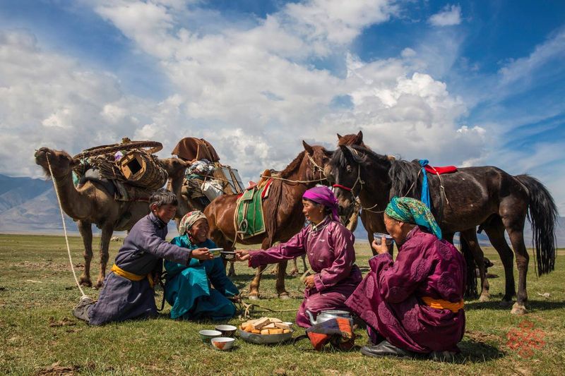 Live with a Nomadic Tribe in Mongolia