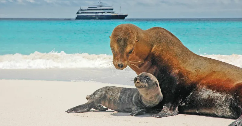 Cruising the Galápagos