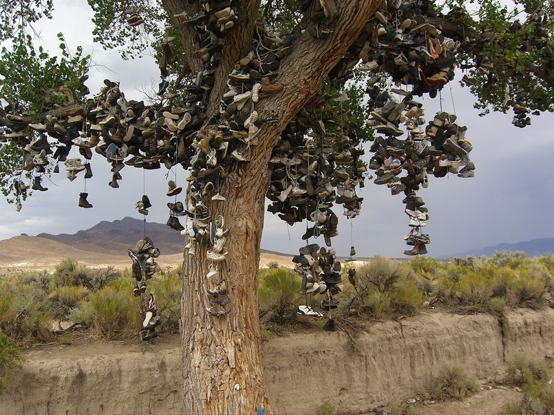 The Shoe Tree – Nevada