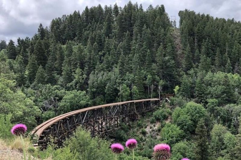 Cloudcroft, New Mexico: The Best-Kept Secret of the Southwest