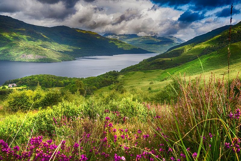 Picnic by a Loch