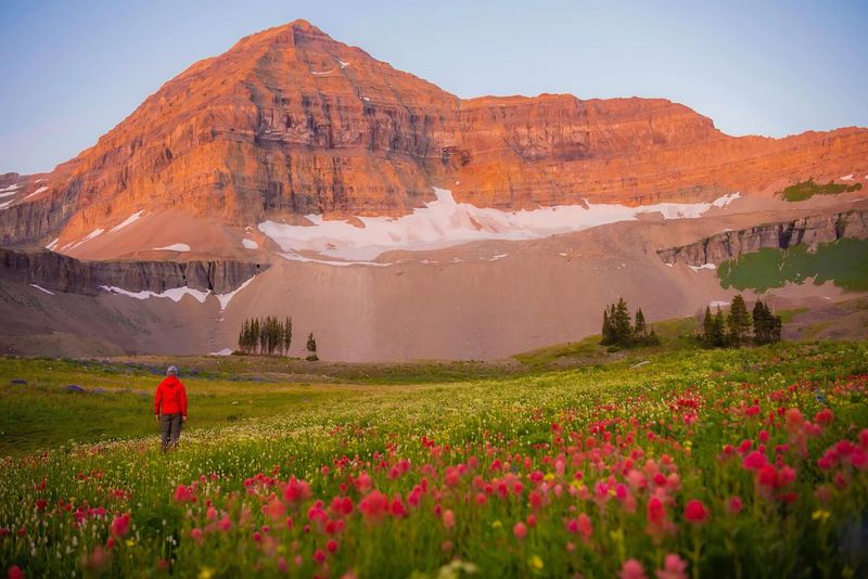 Mount Timpanogos
