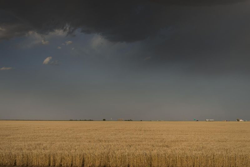 Kansas: Endless Fields, Limited Appeal