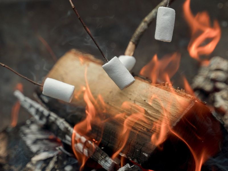 Join A Resort Campfire And Roast Marshmallows
