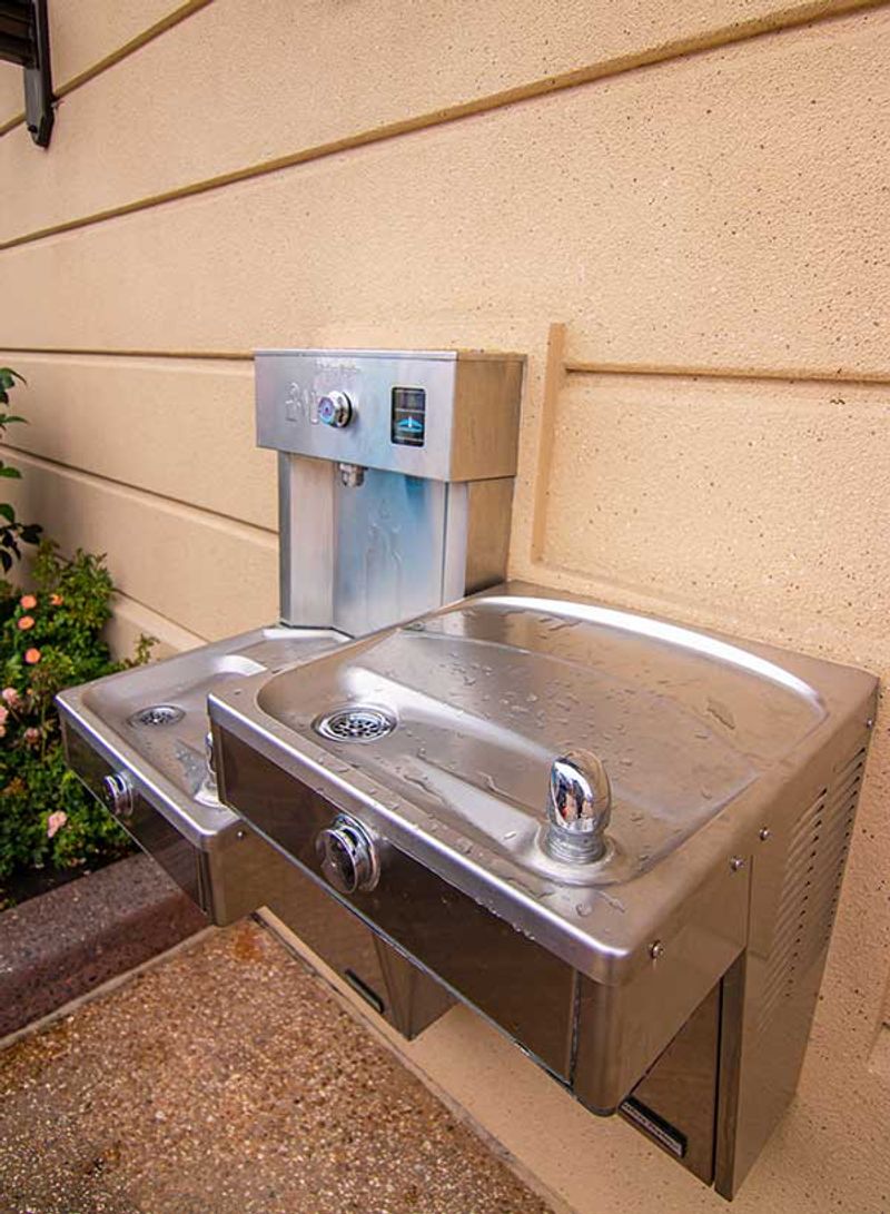 Hydrate Throughout the Day