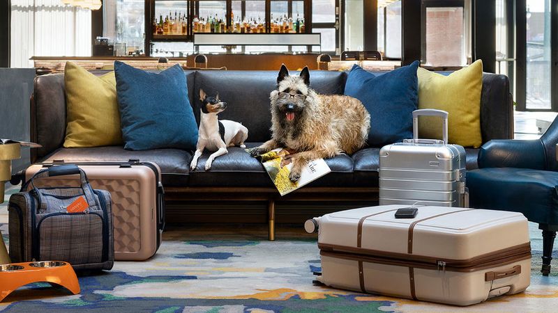 Considering Accommodations And Pet Policies