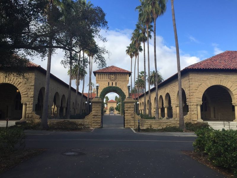 Stanford Palm-Streaked Paths