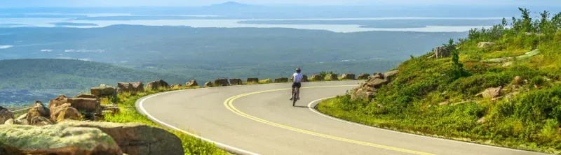 Park Loop Road Tour