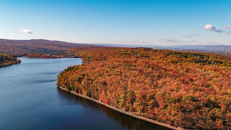 Stunning Fall Colors