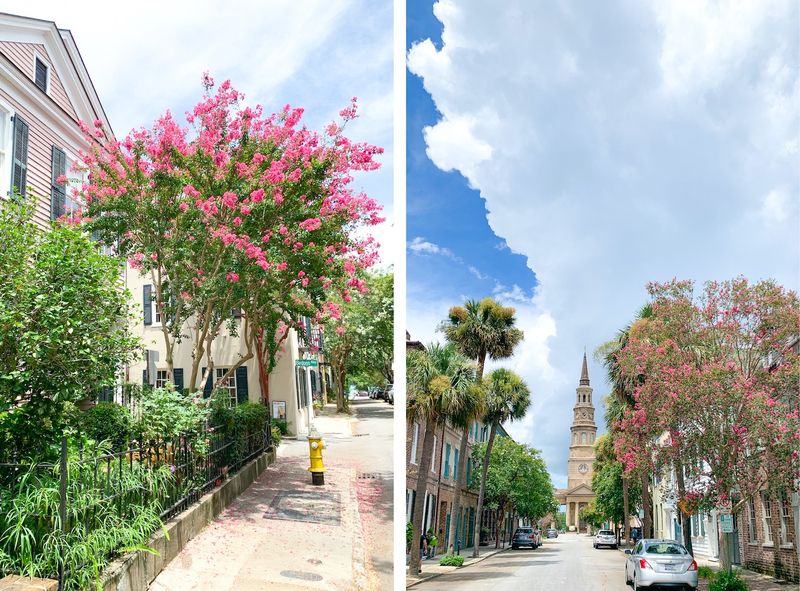 Coastal Charm in Charleston