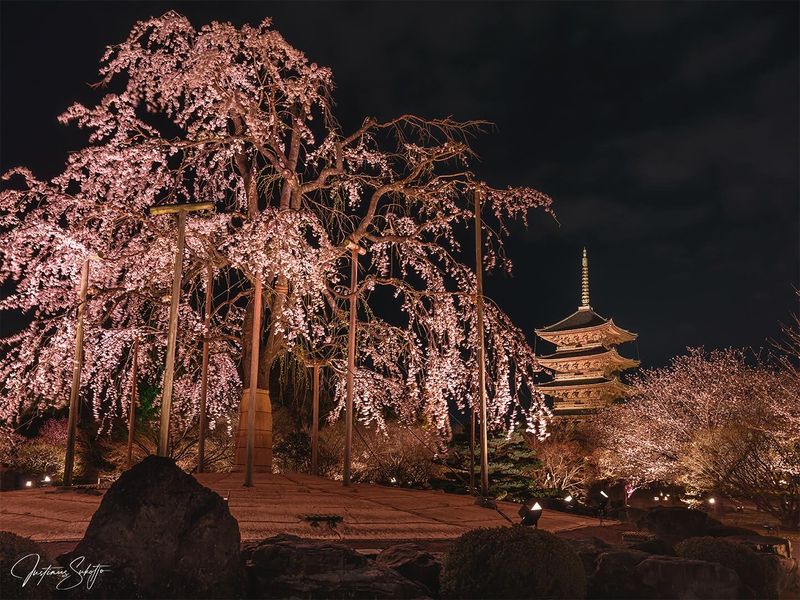 Kyoto, Japan After Dark