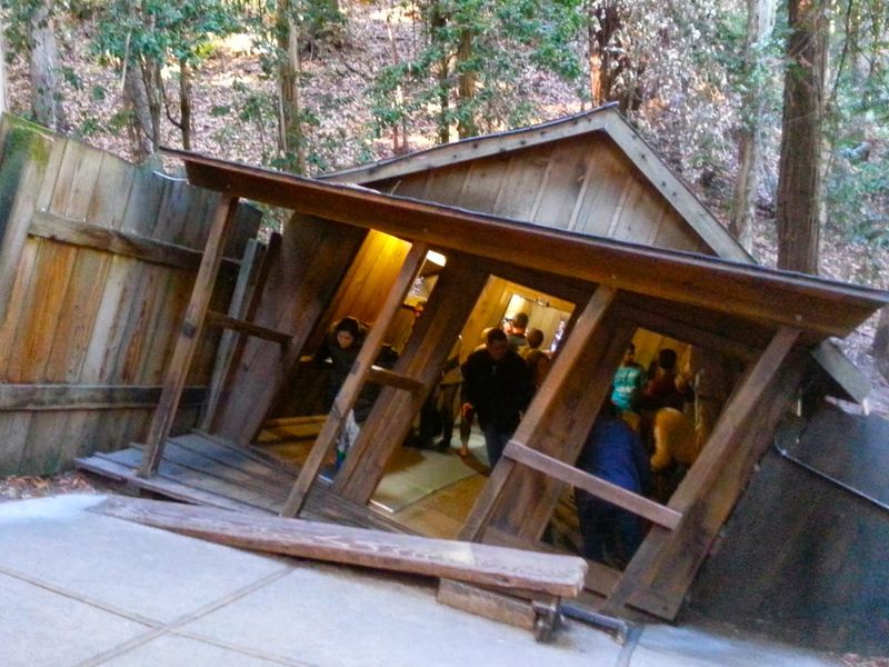 Skip It: Mystery Spot (Santa Cruz, California)
