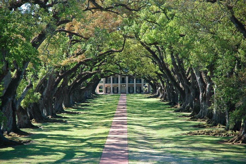 Louisiana Culture Overload
